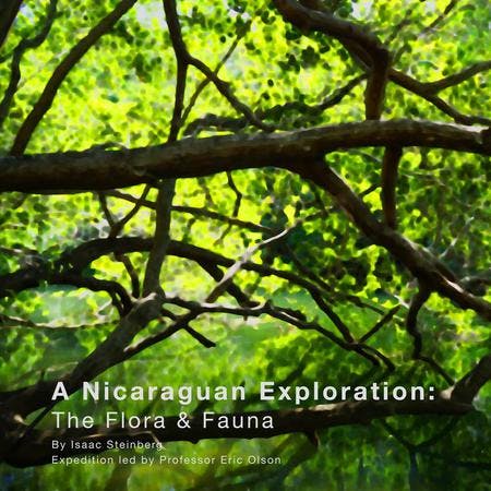 Nicaraguan Field Guide